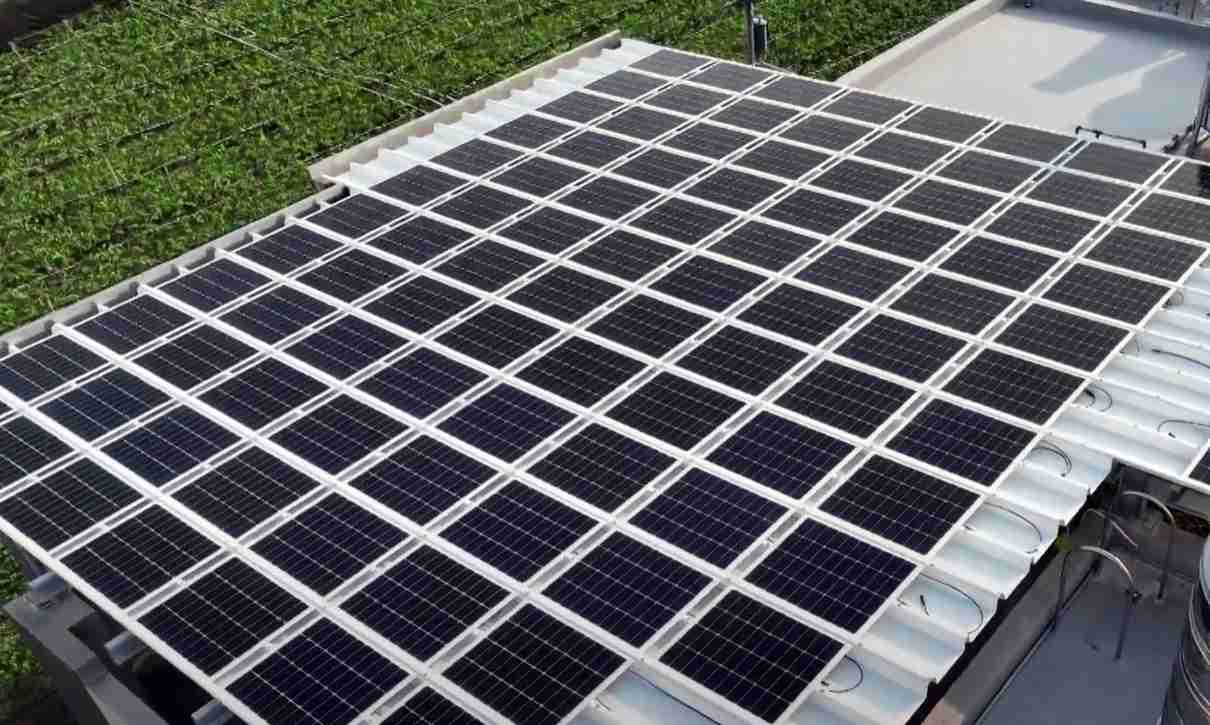 2121非凡SunSteel光电浪板升级双玻结构，，，以提升机械负载强度及气候耐候度，，，可广泛运用于多元场域