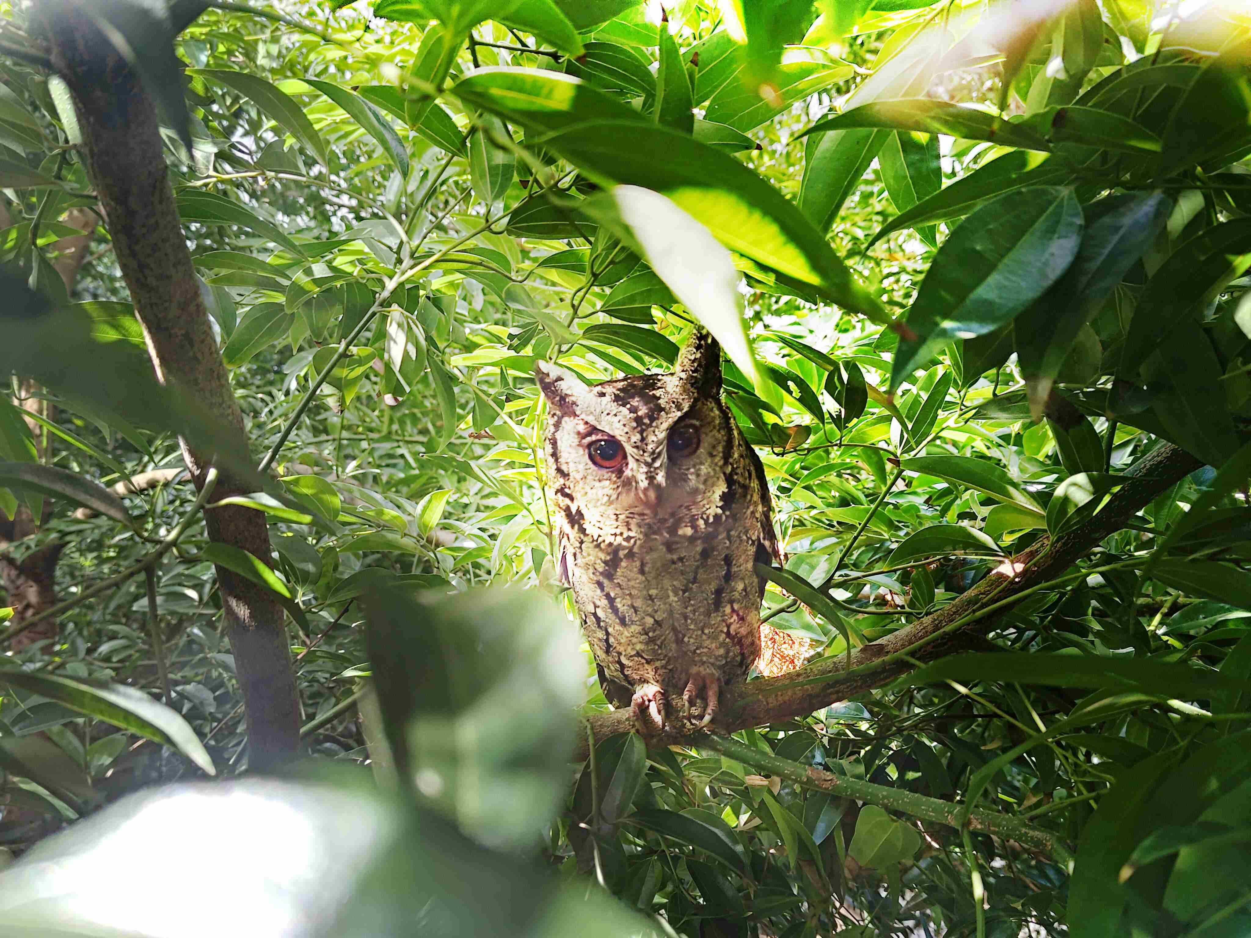 2121非凡致力提倡净零绿生活，，，16年以来在全球各厂区植树逾百万棵，，造就各厂区树木蔚然成林，，，，犹如森林工厂，，，，成为许多生物的栖息地